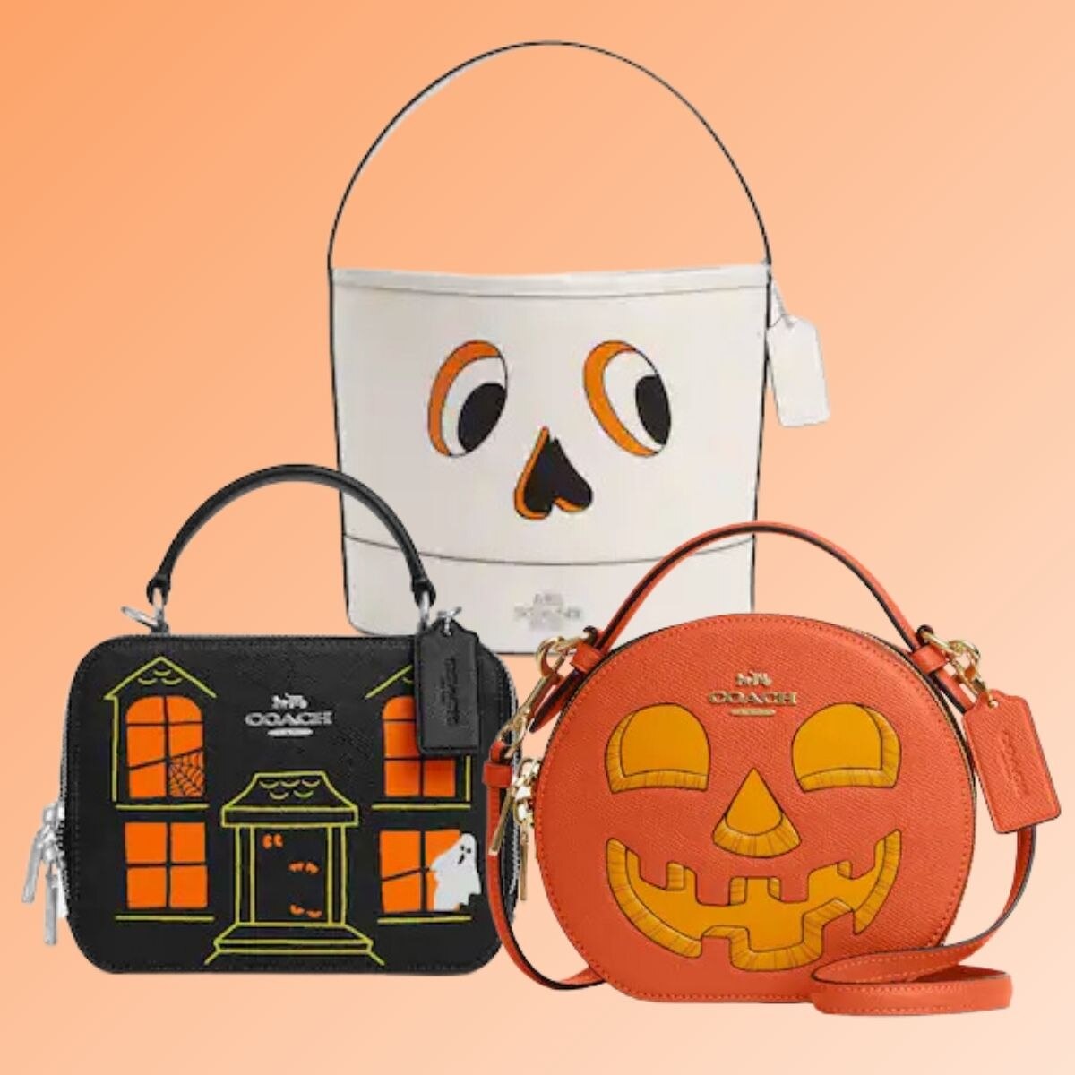 Halloween Treat Bags |
